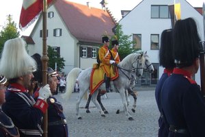 f31_009089_eegaidae.jpg