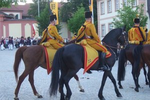 f31_009172_ooziethe.jpg