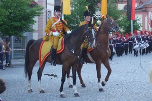 f31_009174_ilaxievi.jpg