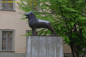 nik_014633_canaiyah.jpg