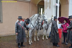 nik_014639_ceishieg.jpg