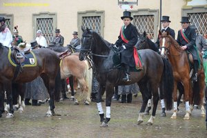 nik_014648_phohzoig.jpg