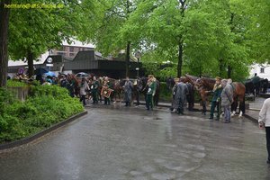 nik_014664_jaefaudo.jpg