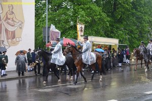 nik_014688_beeloghe.jpg
