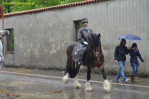nik_014737_riquohko.jpg