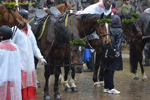 nik_014756_ieghiech.jpg