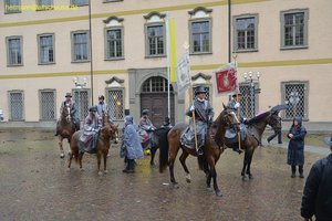 nik_014865_dingohpa.jpg
