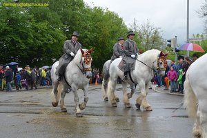 nik_015204_pufieweu.jpg