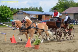 nik_015965_eiraetee.jpg