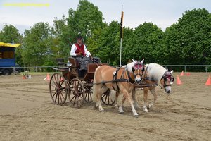 nik_015969_naehoshe.jpg