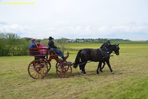 nik_016007_eekohthe.jpg