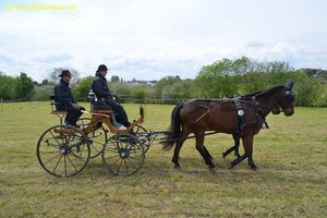 nik_016011_ohwienak.jpg