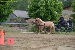 nik_016015_iayietec.jpg