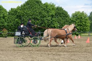 nik_016019_ipeewien.jpg