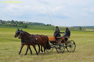nik_016020_johdaedo.jpg