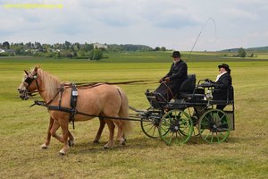 nik_016033_yielasha.jpg
