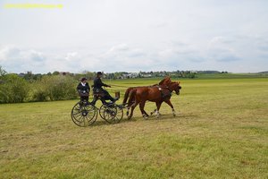 nik_016038_quohjohj.jpg