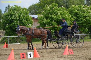 nik_016040_chaephei.jpg