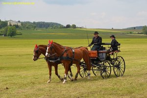 nik_016047_ahcheigh.jpg