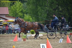 nik_016049_olaecaiz.jpg