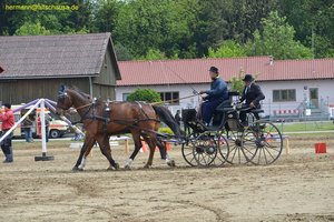 nik_016051_fielungo.jpg