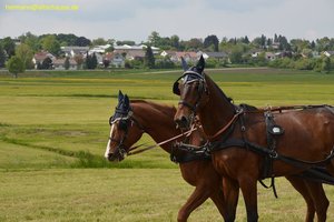 nik_016061_sohchohb.jpg
