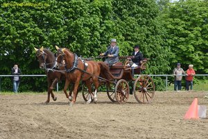 nik_016065_chailiel.jpg