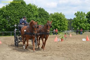 nik_016097_aoshohfe.jpg
