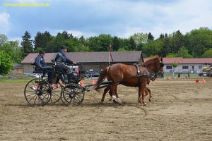 nik_016104_hoviehah.jpg