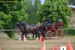 nik_016113_eigaequi.jpg