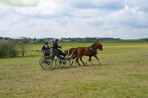 nik_016128_eemoonge.jpg