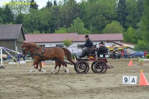 nik_016148_ohcaizai.jpg