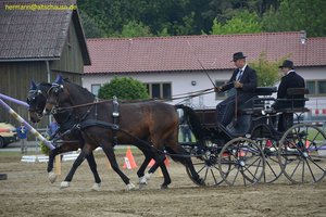 nik_016165_eithatho.jpg