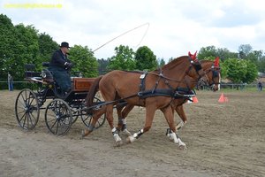 nik_016172_eixeebip.jpg