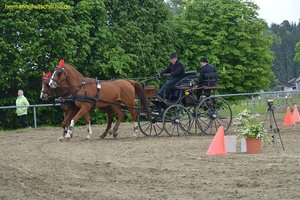 nik_016174_oejaabau.jpg