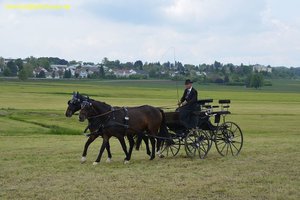 nik_016176_aikaipha.jpg