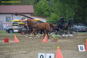 nik_016177_aepieroo.jpg