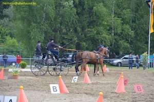 nik_016201_gutheari.jpg