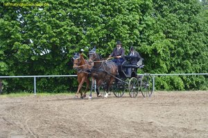 nik_016202_ahpiezai.jpg