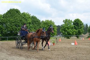 nik_016204_uileinoh.jpg