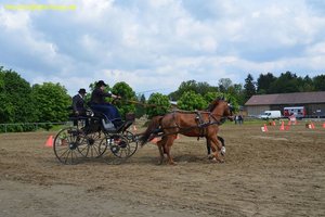 nik_016205_oavoneir.jpg