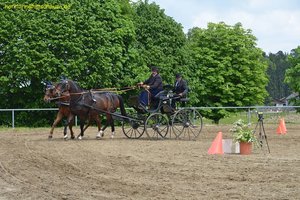 nik_016208_oneojahm.jpg