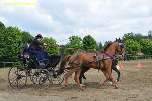 nik_016209_ohngooze.jpg