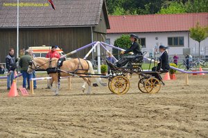 nik_016249_rualohqu.jpg