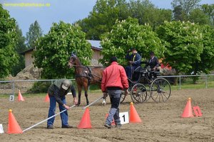 nik_016253_ceequeej.jpg