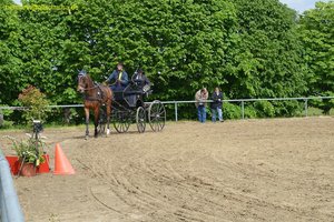 nik_016264_iexareik.jpg