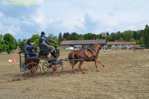 nik_016275_moozaoge.jpg