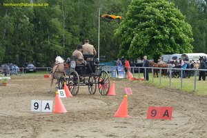 nik_016292_quideege.jpg