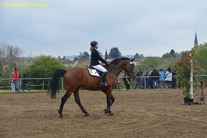 nik_016583_lufeeroo.jpg