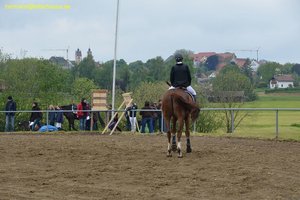 nik_016591_cohviega.jpg